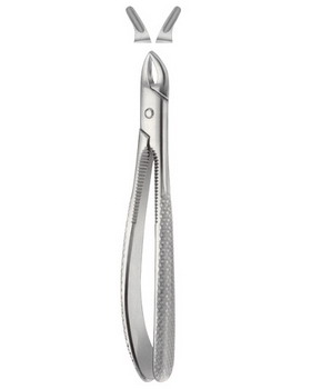 Tooth Forceps for Children  